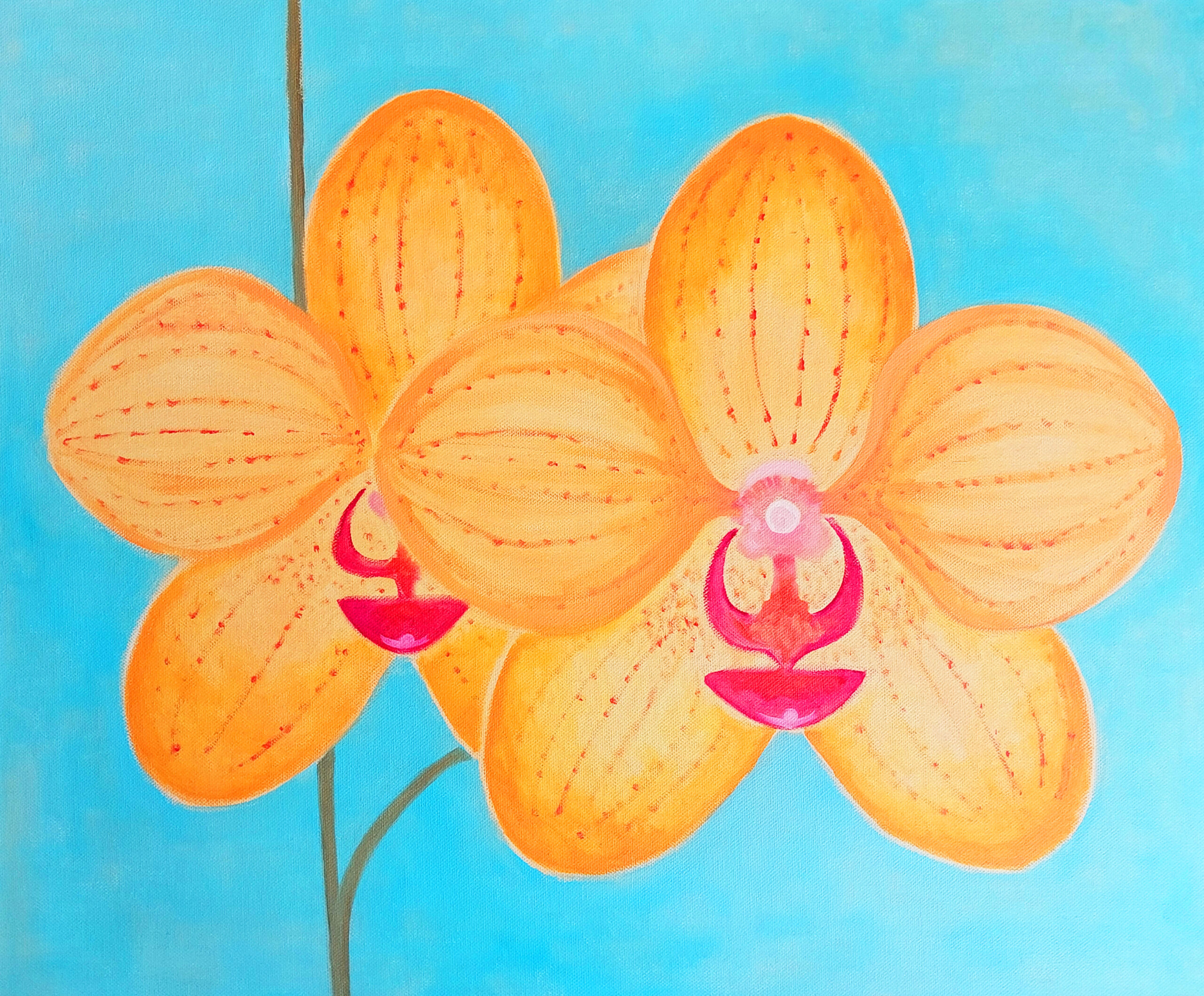 orquideas-retocado Orquídeas