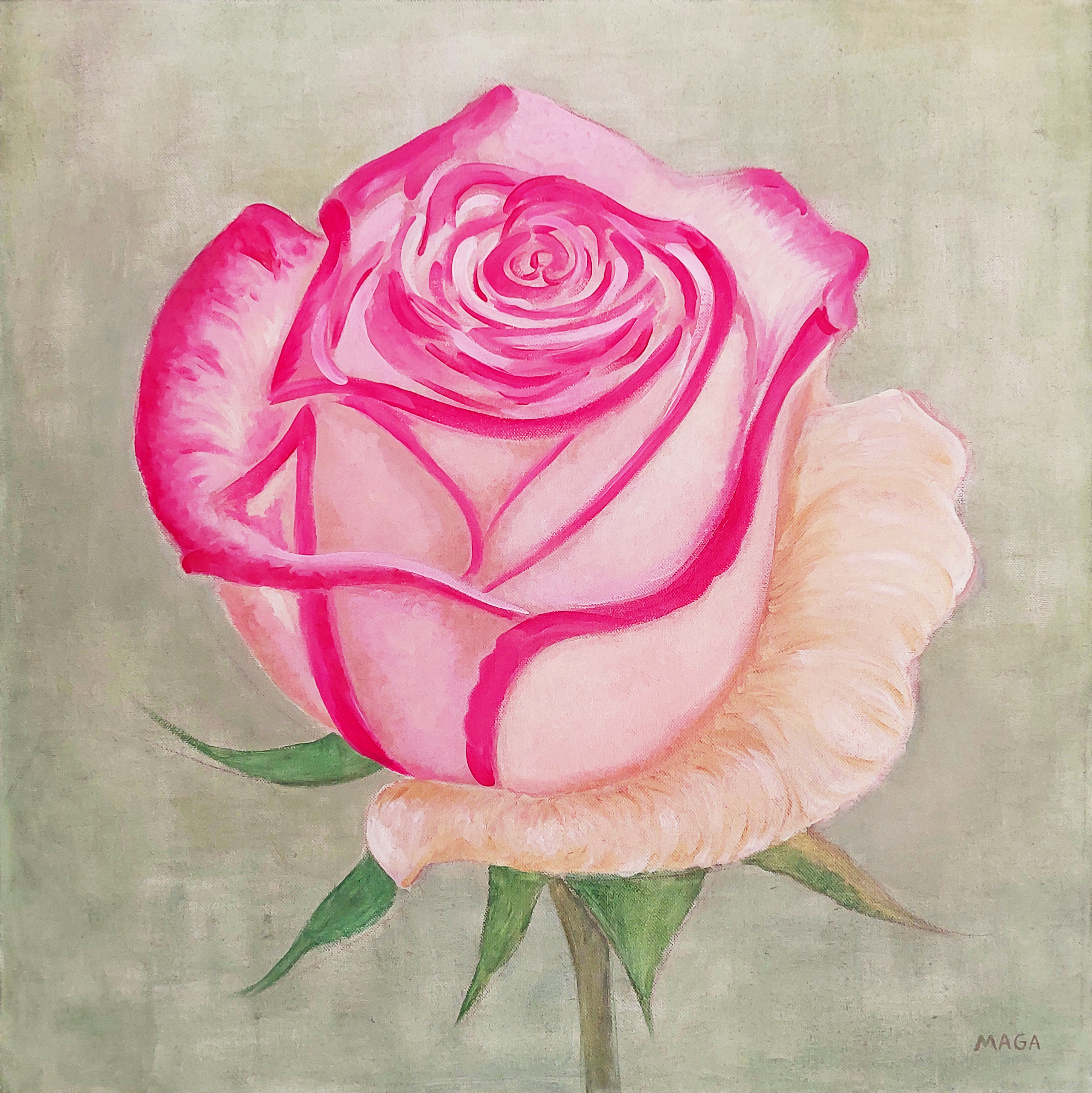 Rosa Rosa - Serie Aflorar